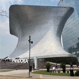 Meet your Posher, Fausto